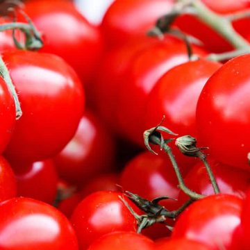 The 9 Best Fridge Freezers wich Keep  the Vegetables Fresh