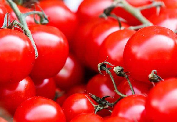 The 9 Best Fridge Freezers wich Keep  the Vegetables Fresh