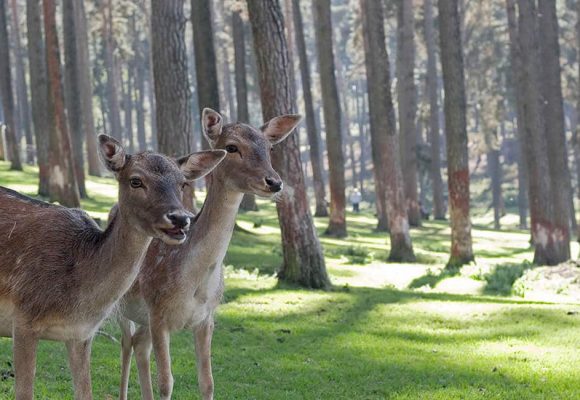 Guide to fun Summer Activities at Canada’s National Parks